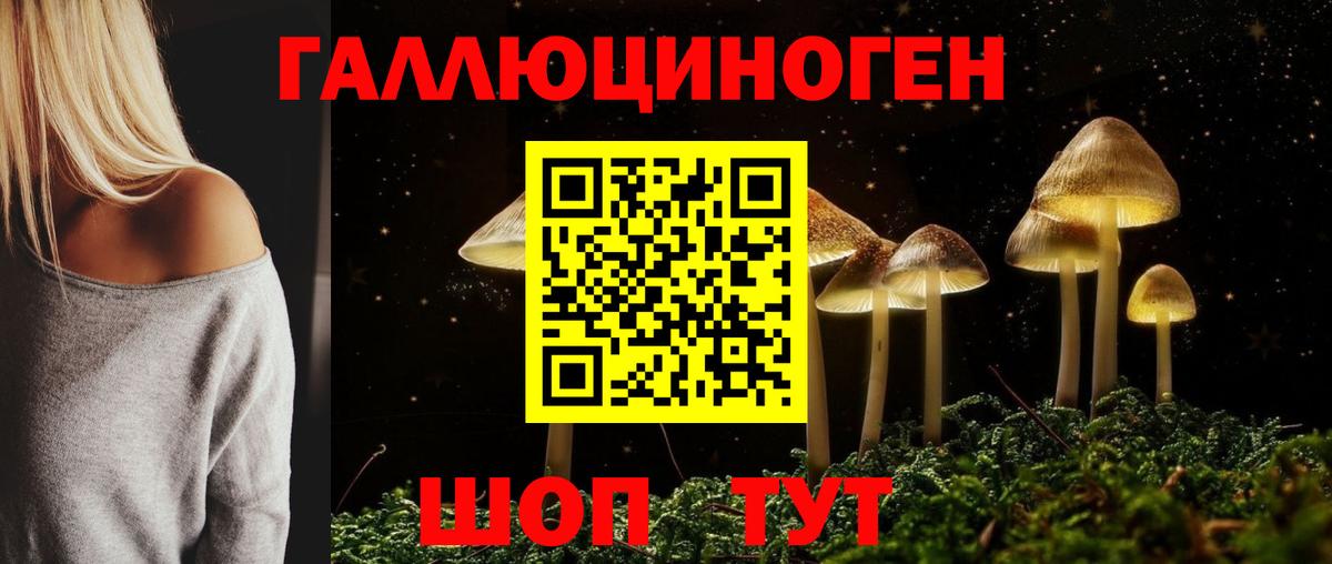 Волгодонск  Псилоцибиновые грибы мухоморы  наркотики  Вход с VPN 